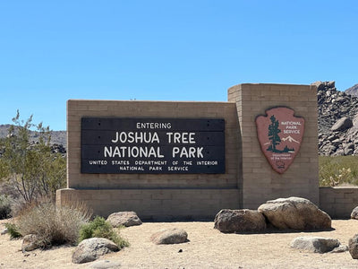 Joshua Tree Nationalpark