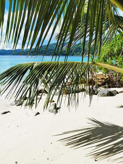 Geocaching on Mahé, one of the main islands of the Seychelles