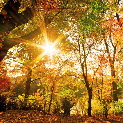 Geocaching im Herbst
