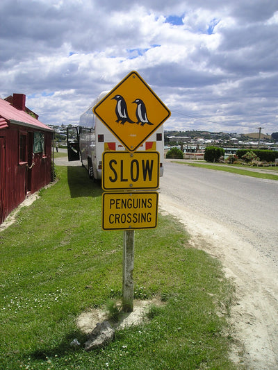 Australien/Neuseeland