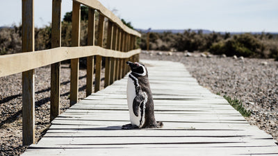 Australien/Neuseeland